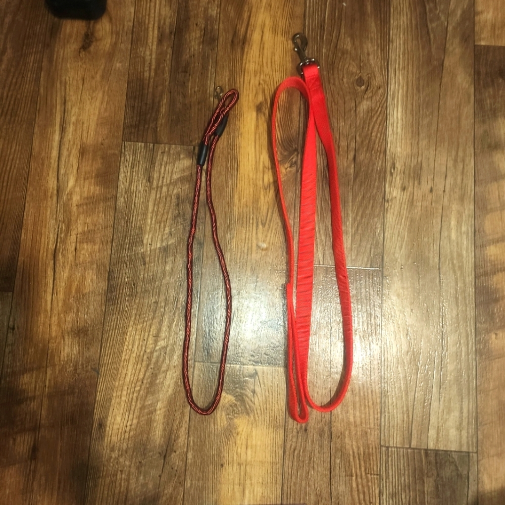 2-LEASHES COASTAL PET 6' HEAVY DUTY NYLON & CORDED / BRAIDED DOG LEASHES
